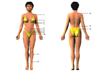 acupuncture points map