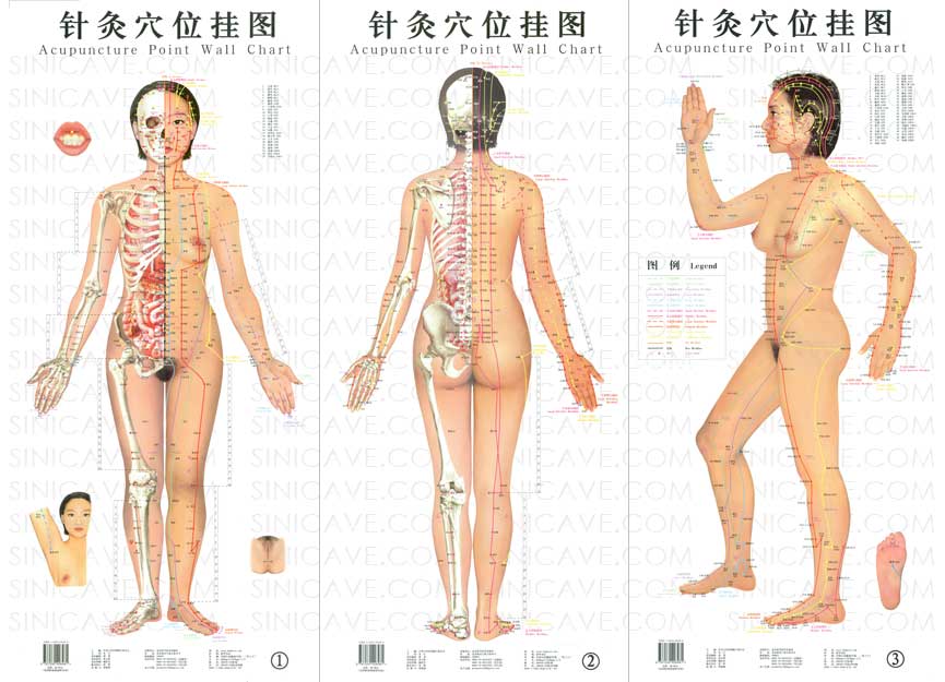 acupuncture points map