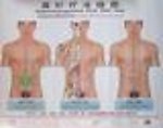 Abdominal Acupuncture Points Wall Chart