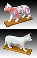 Acupuncture Cat Model -Free shipping