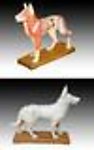Acupuncture Dog Model -Free shipping
