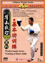 Chinese Wushu Free Sparring Series - Training of Basic Skills