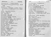 Practical English-Chinese Glossary of Advertising