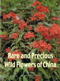 Rare and Precious Wild Flowers of China ( II ) [By:Liu Chudian]
