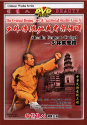 The Original Boxing Tree of Traditional Shaolin Kung Fu - Shaolin Fengmo Cudgel