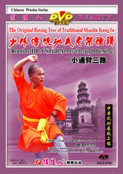 The Original Boxing Tree of Traditional Shaolin Kung Fu - Shaolin Small Back-through Boxing III