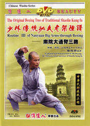 The Original Boxing Tree of Traditional Shaolin Kung Fu - Routine III of Nanyuan Big Arms-through Boxing