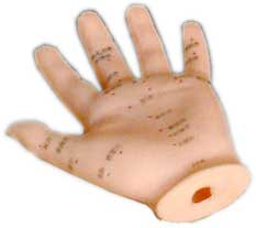 Acupuncture Human Hand Model 13cm