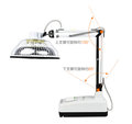 2-in-1 TDP Infrared Mineral Heat Therapy Lamp 220V